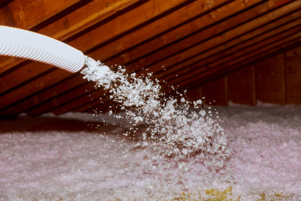 Best Home Insulation Services  in Winchester, MO