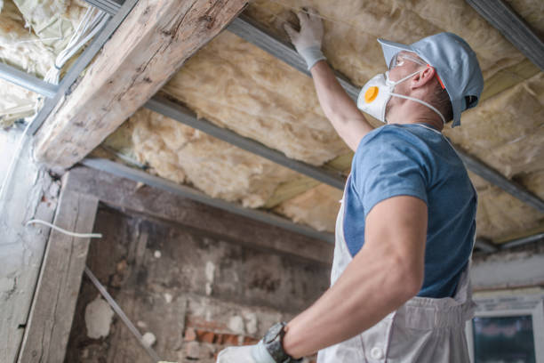 Best Best Insulation Companies  in Winchester, MO