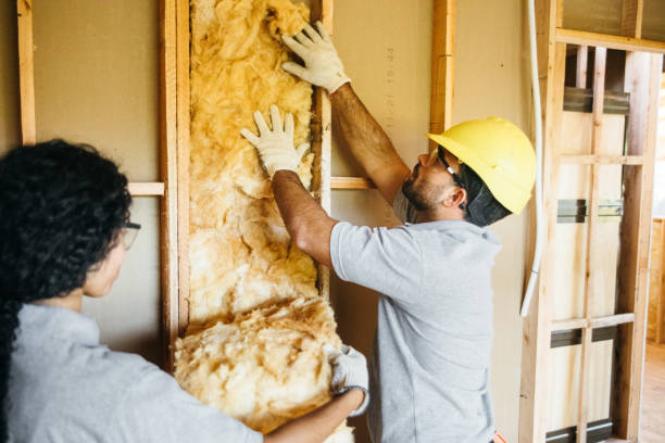 Best Insulation Removal  in Winchester, MO