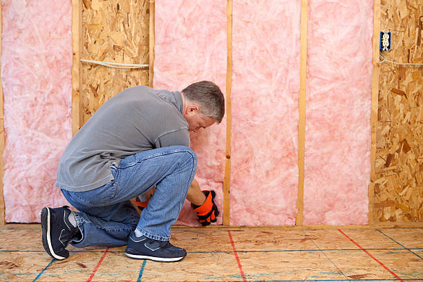 Best Attic Insulation Installation  in Winchester, MO